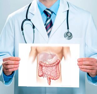 Dr. J. M.ª Greoles Solé sistema digestivo 